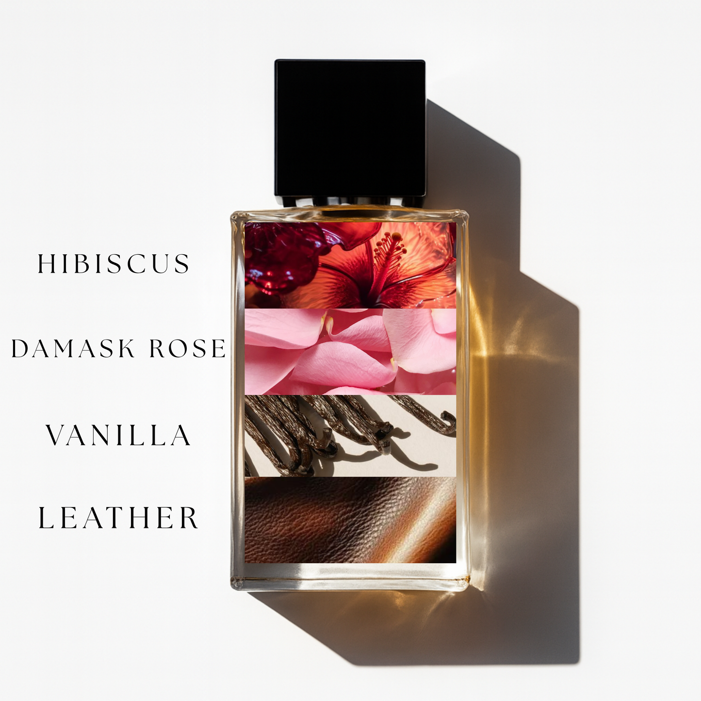 HIBISCUS *THE LIMITED EDITION*